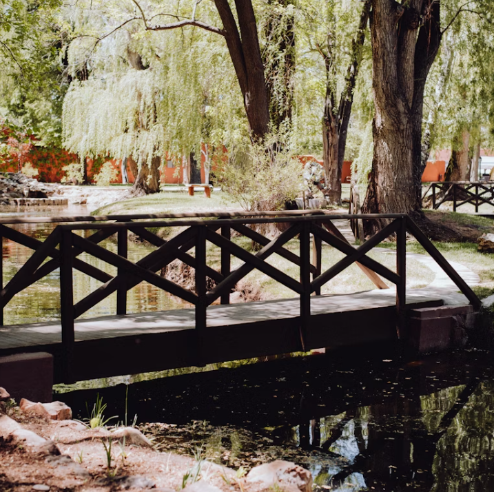 中式庭院婚礼场地租赁，乌篷船接亲，宋韵美学典礼